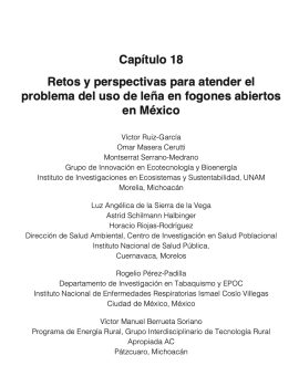 Libro_Uso de leña en el hogar_Cap18
